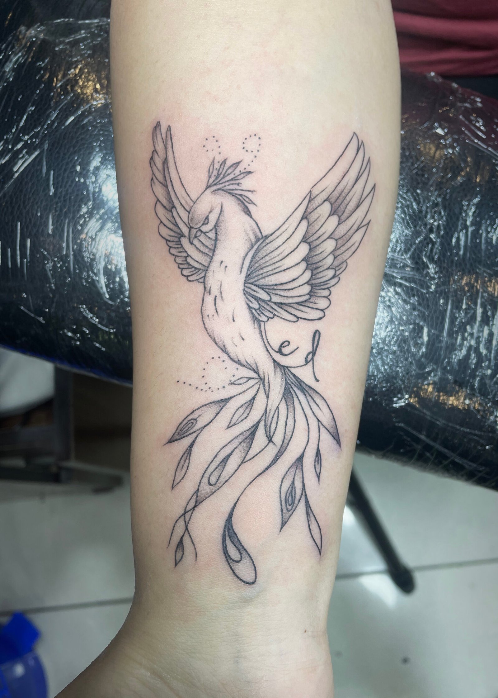 bird tattoo 01